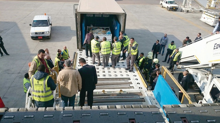 המשאית שהוכנה בשביל להעביר את הצעירה מביתה למטוס. צילום: רשתות חברתיות