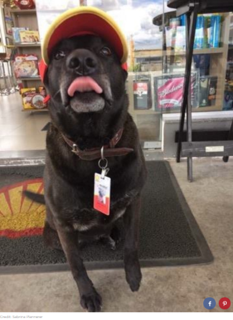 נאגיו מברך בשמחה את הלקוחות. צילום מסך