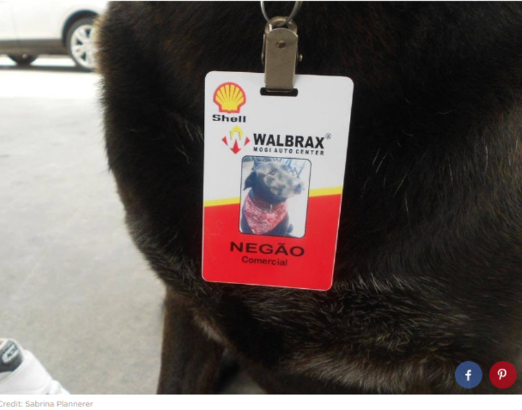 תראו את תג העובד המגניב שלו. צילום מסך