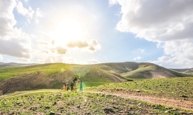 סיורי פריחה בכפר הנוקדים. צילום: יוני גריצנר