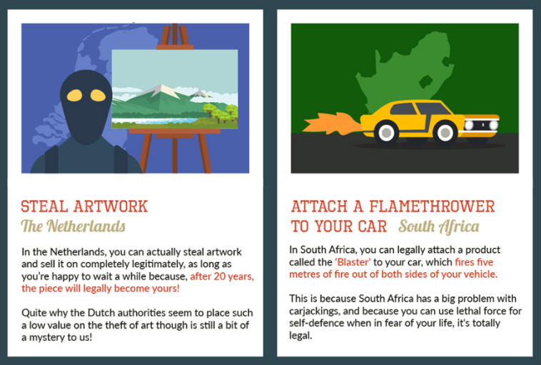 שווה לטוס לדרום אפריקה. צילום מסך