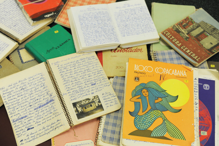 יומניו של מנגלה. צילום: AFP