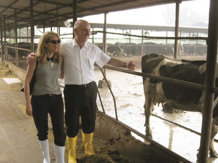 פרה סינית מניבה שליש מפרה ישראלית. מתן וילנאי ואשתו ברפת סינית, צילום משפחתי