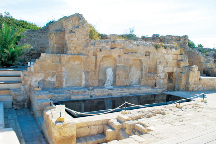 הנימפאון. צילום: מיטל שרעבי