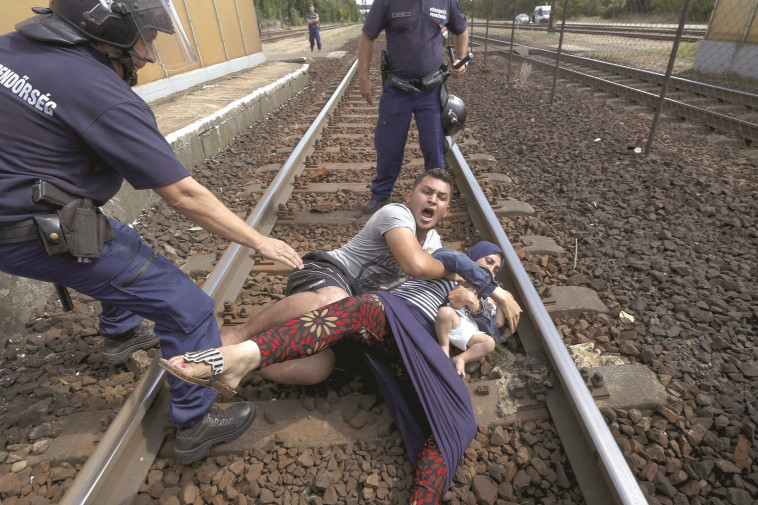 פליטים סורים בהונגריה. צילום: רויטרס