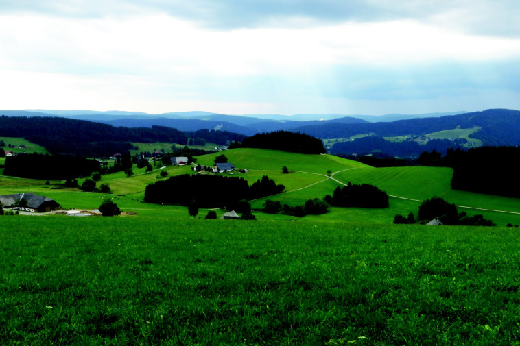 היער השחור בגרמניה