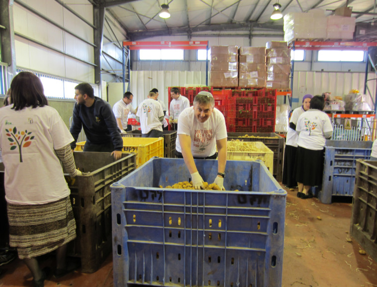 מתנדבים מרכז הלוגיסטי של לקט ישראל. צילום: לקט ישראל