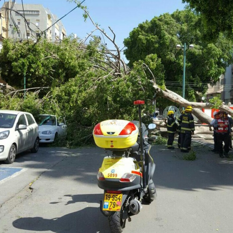 זירת הטרגדיה בכפר סבא. צילום: דוברות מד&quot;א 