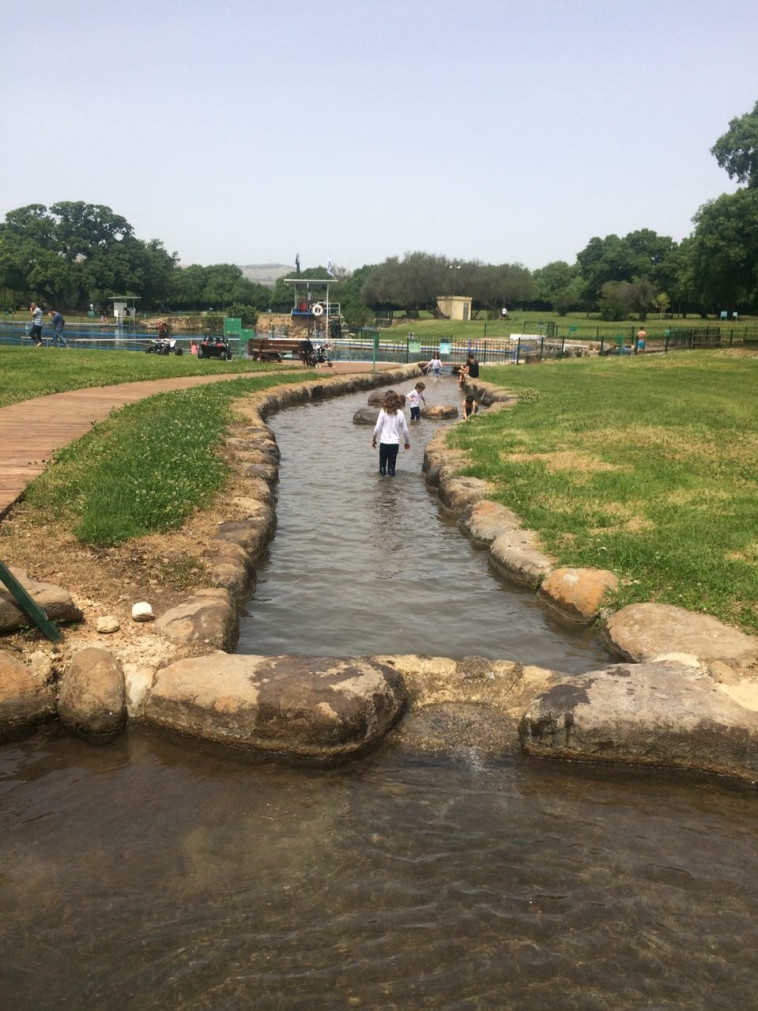 מטיילים בחורשת טל. צילום: פארס דעבוס, רשות הטבע והגנים