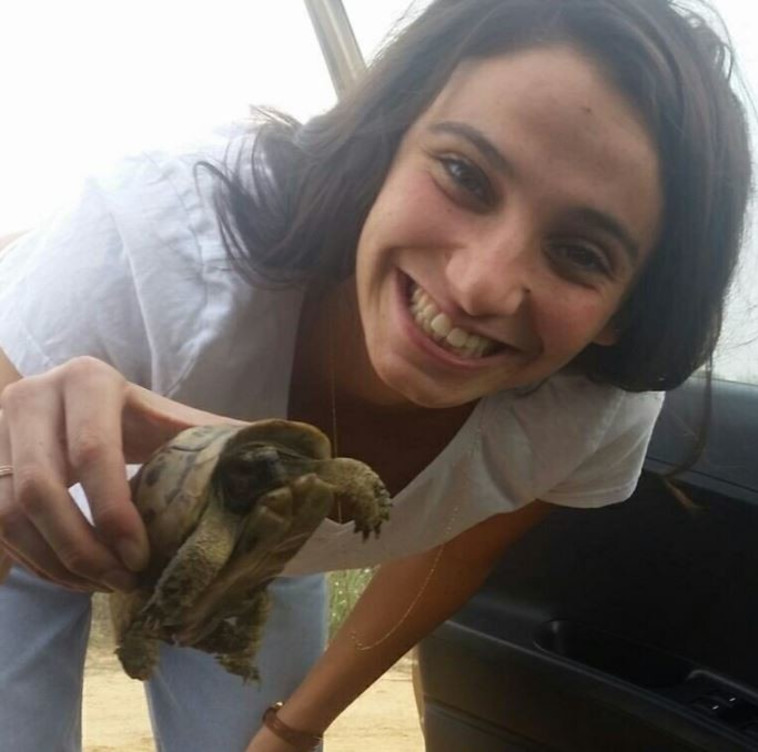 תמנע שוויקי. צילום: ללא קרדיט