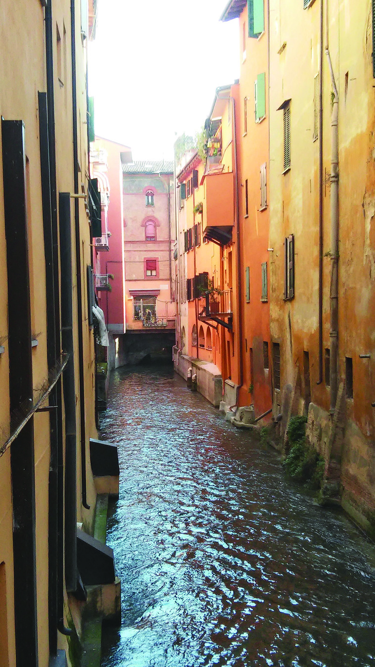 שריד יחיד. תעלת מים עירונית גלויה, צילום: מאיר בלייך