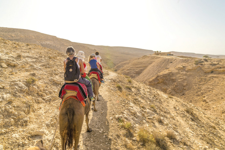 גן לאומי ממשית. נוף מדברי ובזאר קדום. צילום: אורי שפירא גן לאומי ממשית. נוף מדברי ובזאר קדום. צילום: אורי שפירא