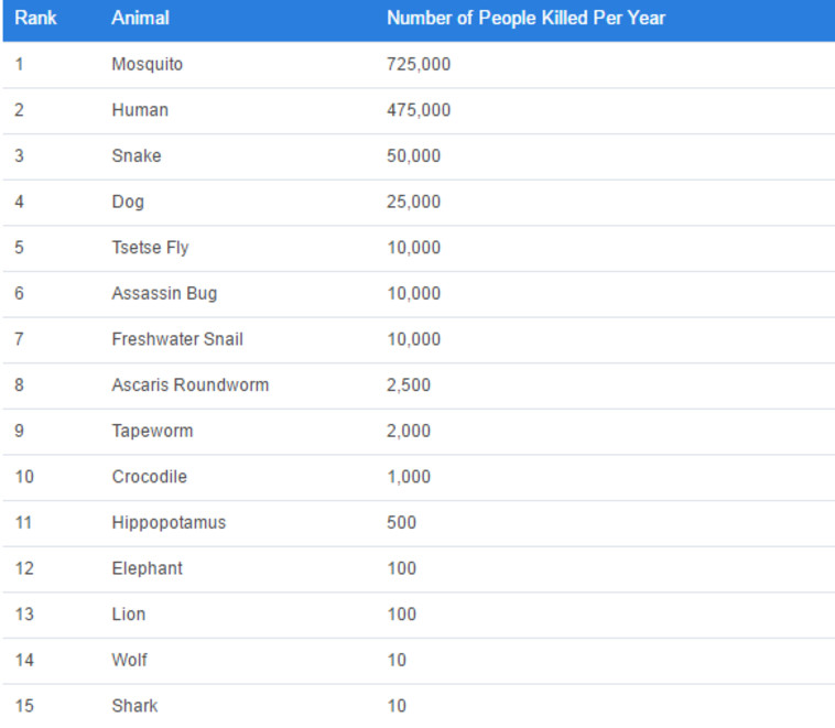 worldatlas.com החיות המסוכנות בעולם צילום מסך דרך