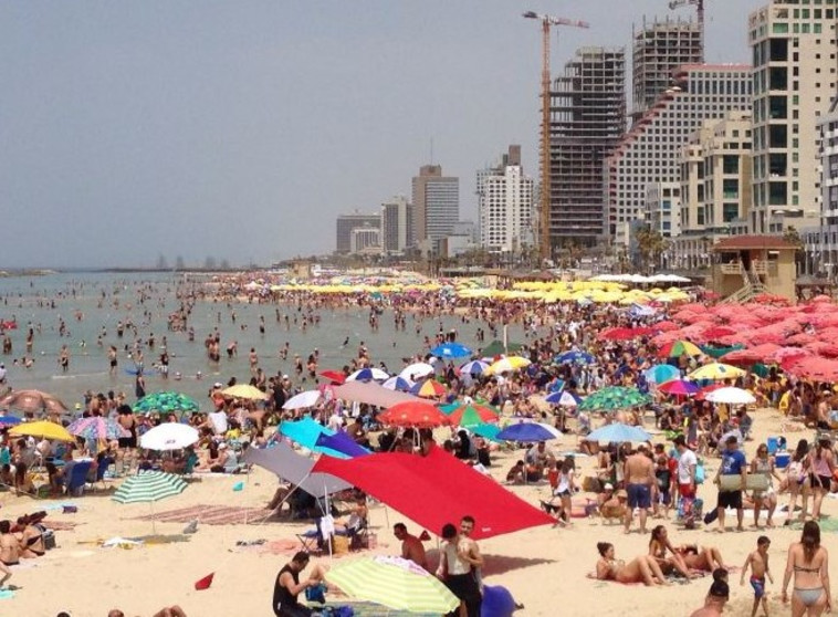 פחדו ממדוזות. חוף הים בתל אביב. צילום: אבשלום ששוני