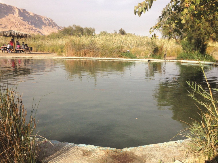 שלושה סיורים בעינות צוקים, צילום: מיטל שרעבי