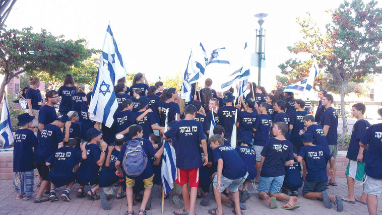 כוח צביקה. צילום: ללא