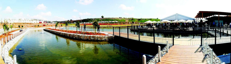 פארק אריאל שרון, צילום: אלי דסה