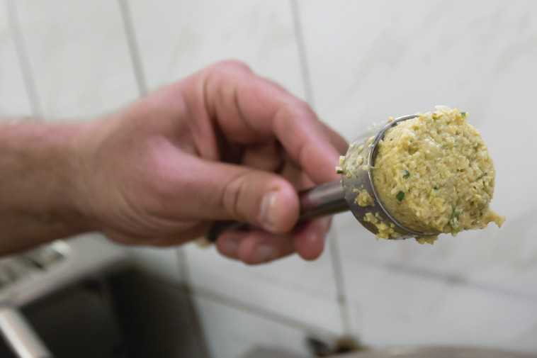 פלאפל הזקנים בוואדי ניסנס. צילום: ערן לוף