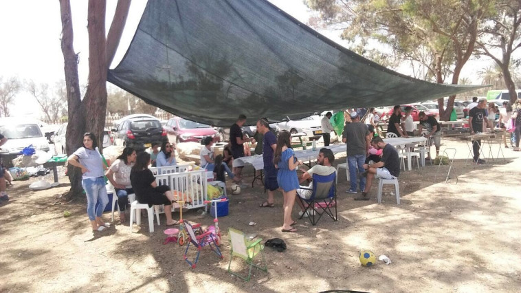 מטיילים ביערות קק&quot;ל. צילום: דוברות קק&quot;ל