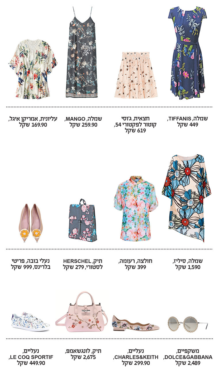 צילום: יח&quot;צ