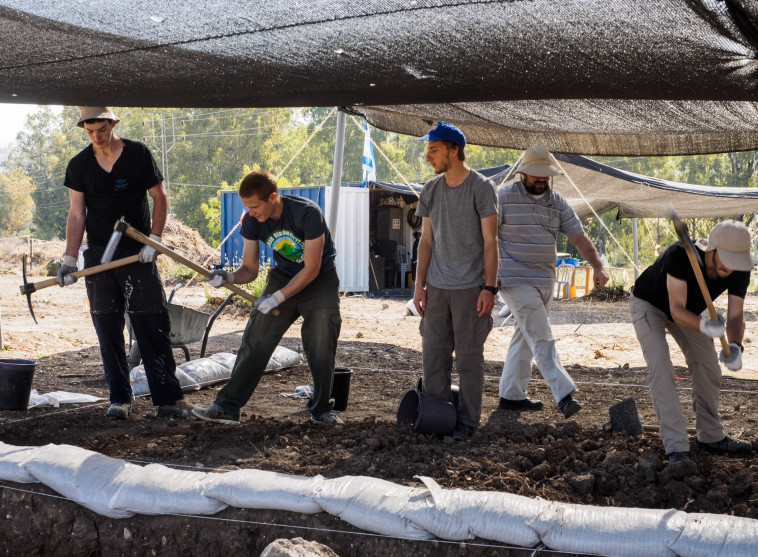 חניכי המכינות הקדם צבאיות מסייעים בחפירות ליד בית שמש. צילום: אסף פרץ, באדיבות רשות העתיקות
