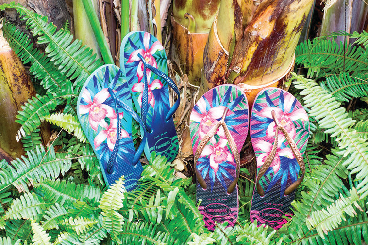 ממשיכים להיות רלוונטים. &quot;הוויאנס&quot;. צילום: יח&quot;צ