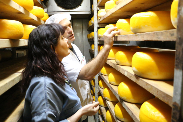 פסקל מבקרת במחלבת בוטיק של משפחת יעקבס. צילום: פסקל פרץ&ndash;רובין וכפיר שמעוני 