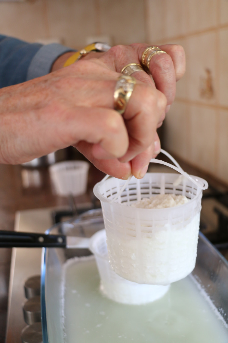 מחלבת בוטיק של משפחת יעקבס. צילום: פסקל פרץ&ndash;רובין וכפיר שמעוני 