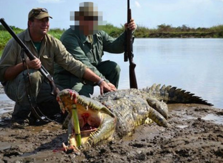 הצייד האכזר עם קורבן נוסף שלו. טוויטר