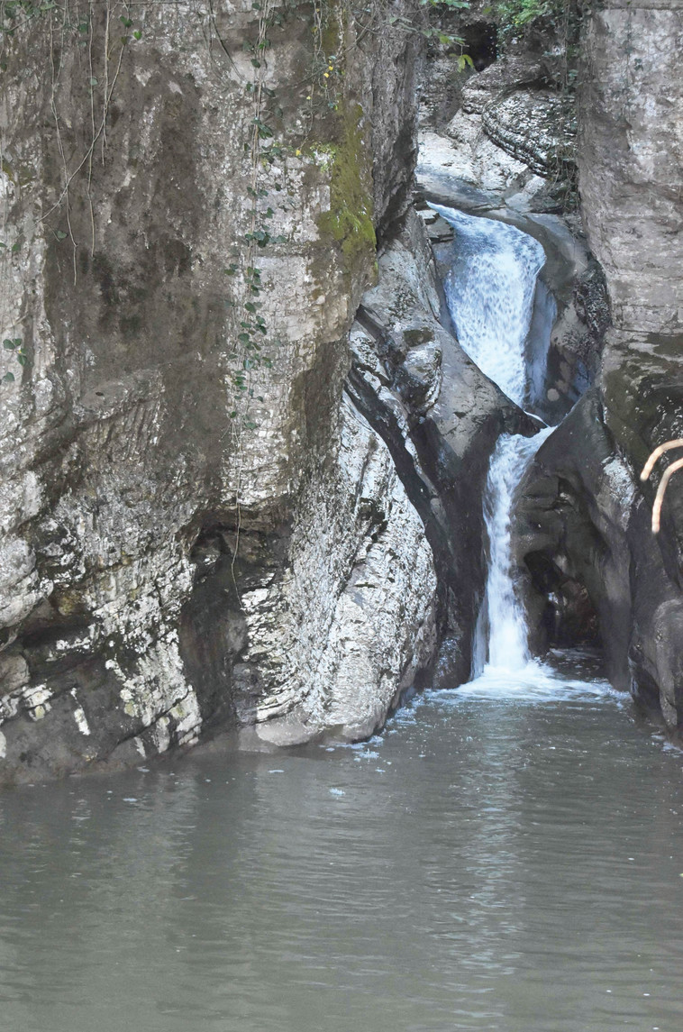 שמורת הטבע של סוצ'י. צילום: מיטל שרעבי