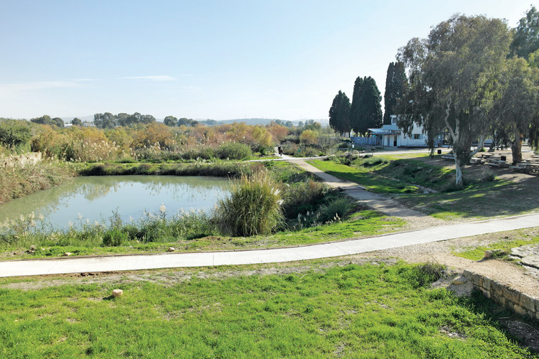 עין אפק. צילום: שרון פלוס