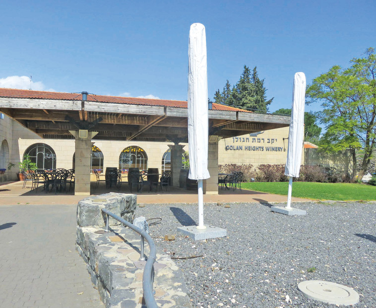 יקב רמת הגולן. צילום: מיטל שרעבי