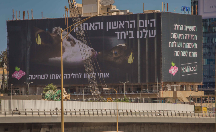 שלט החוצות נגד תעשיית החלב. צילום: ניצן בר