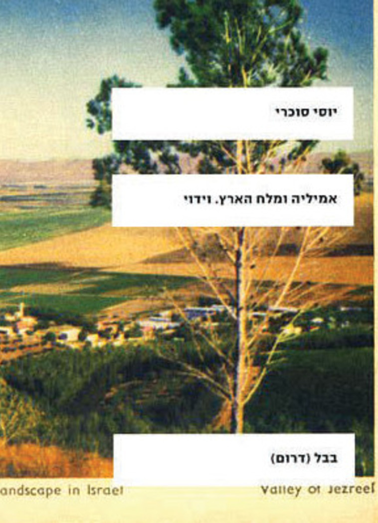 הספר &quot;אמיליה ומלח הארץ&quot;. מגולל את סיפור היחסים בין סוכרי וסבתו. צילום: עם עובד