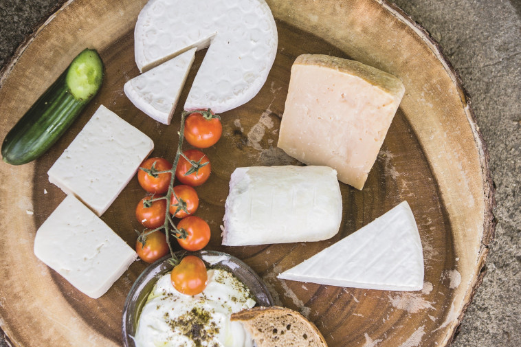 &quot;מוכרים את התוצרת בחנות קטנה במשק&quot;. הגבינות של משק שמואלי, צילום: איתן וקסמן