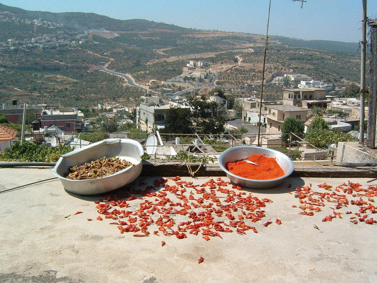 סיור בפקיעין שיחשוף את המבקרים לרוח הכפר. צילום: אמנון גופר