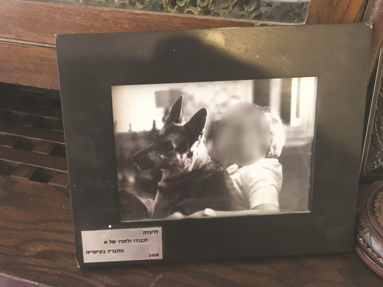 &quot;לא ידעו לדאוג לשיקום&quot;. תמונתו של א' שניתנה ללינדה, אלבום פרטי