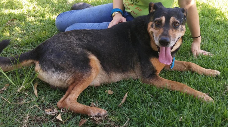 &quot;מתלטף ומתפנק עם אנשים&quot;, דוני