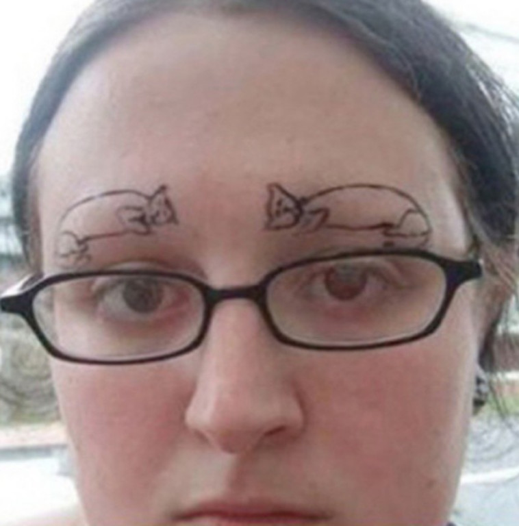 חתולים במקום גבות. אינסטגרם