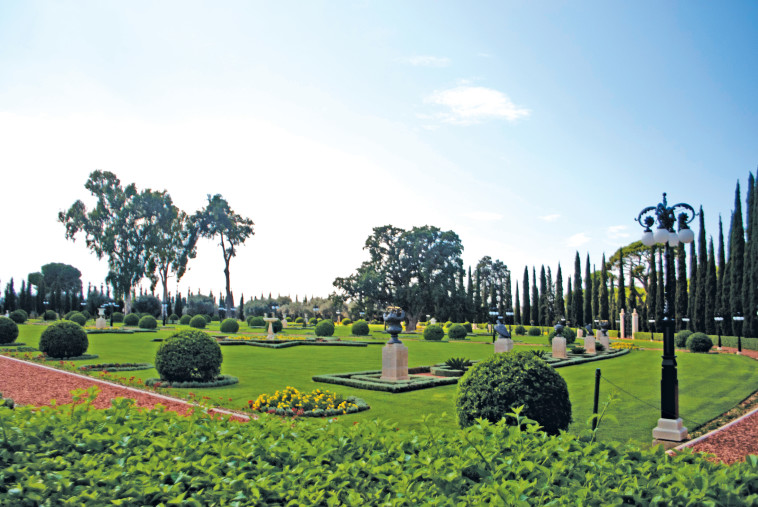 ביקור בגנים הבהאיים. ניתן לראות את המקדש שבו הובא למנוחות מייסד הדת. צילום: הדר יהב
