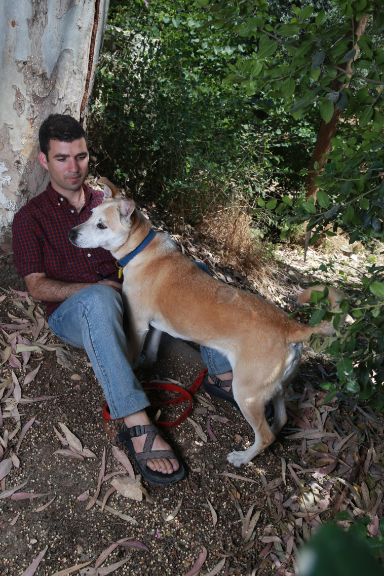 &quot;יותר קל להצמיד את האף לחלונות של משפחות אחרות&quot;. אופנבכר. צילום: מירי צחי
