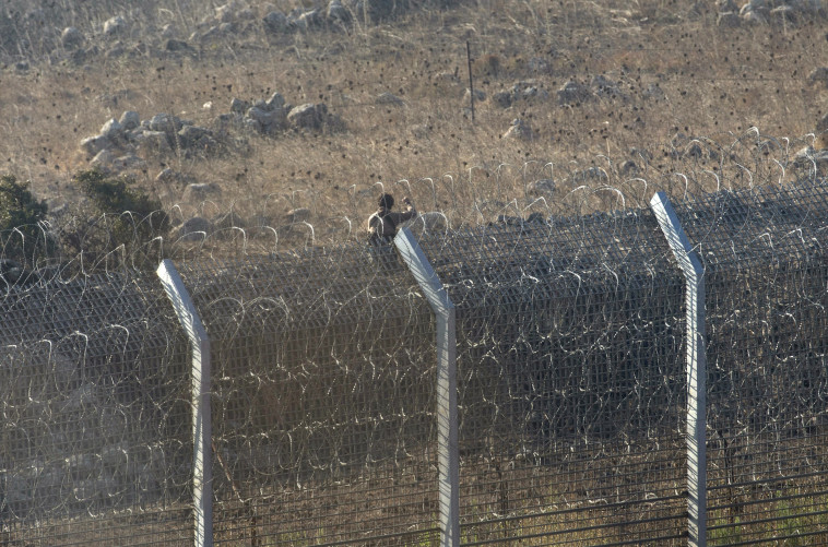 מורד סורי על גבול גדר המערכת בגולן. צילום: רויטרס מורד סורי על גבול גדר המערכת בגולן. צילום: רויטרס