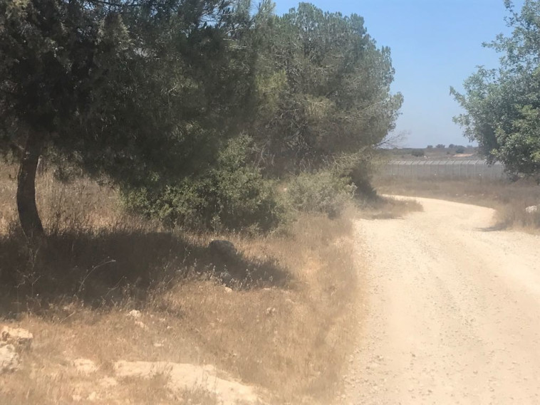 האזור בו התקיימה המסיבה, באליקים