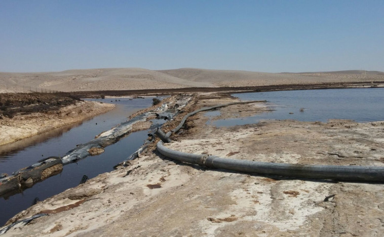 נחל אשלים המזוהם. חקירה תיפתח בנושא. צילום: המשרד להגנת הסביבה