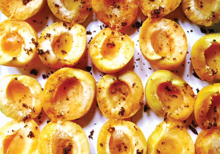 משמשים. העונה הקצרה של הפרי הכתום כבר החלה. צילום: פסקל פרץ רובין