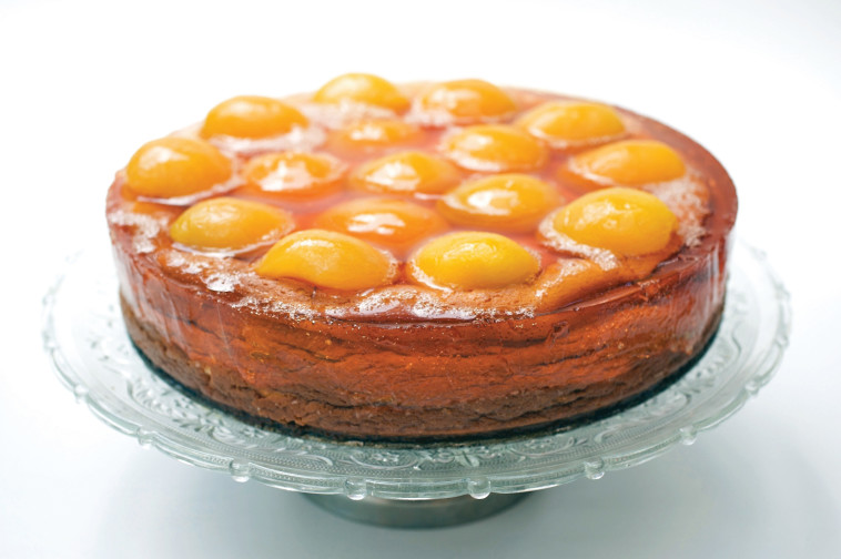 עוגת גבינה עם משמשים וג'לי. לפני ההגשה משחררים את העוגה מדופנות התבנית ע&quot;י סכין. צילום: פסקל פרץ רובין