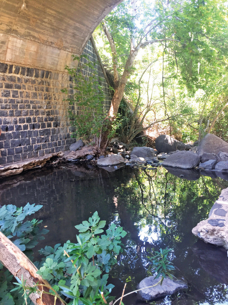 נחל סמך. צילום: מיטל שרעבי