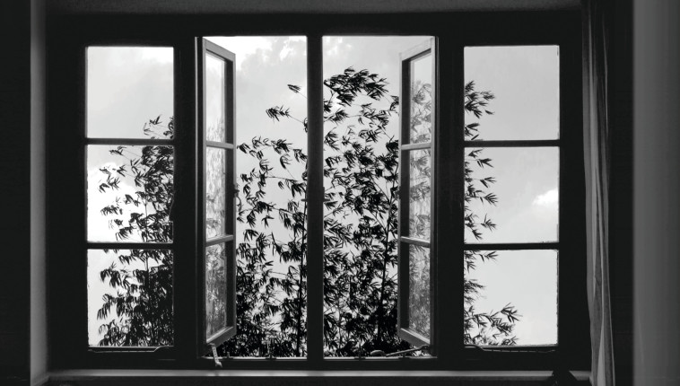 24 פריימים - קרדיט צילום - פסטיבל הקולנוע ירושלים 2017 