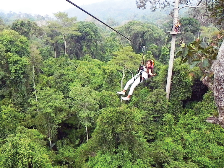 למי שתמיד חלם לשחק בטרזן. צילום: רויטל חורש