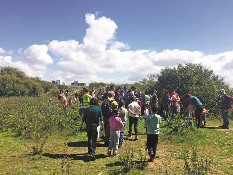  טבע ליד הרצליה. צילום: יח&quot;צ